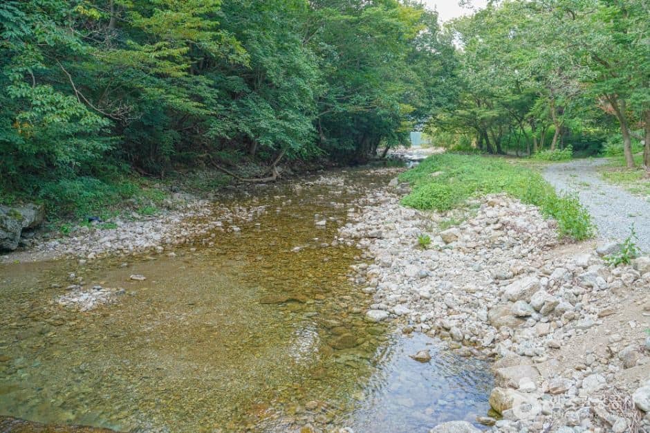 담양_용흥사계곡 (2)