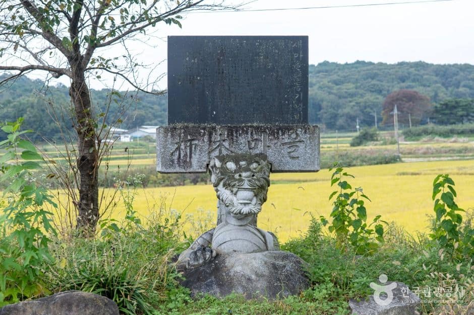 담양_담양 시목마을 (1)