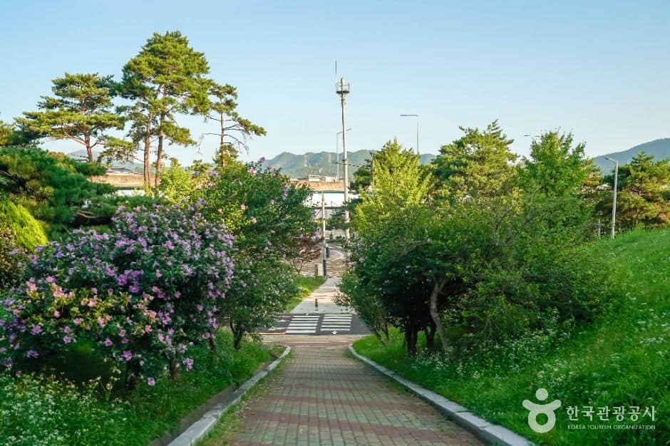창원_남산녹지공원 (5)