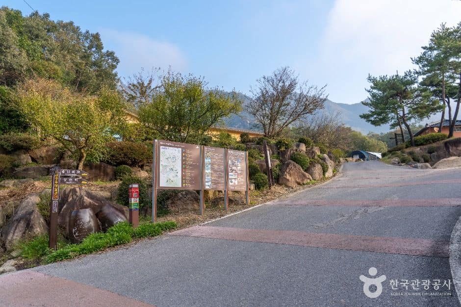 제천_제천 산야초마을 (6)