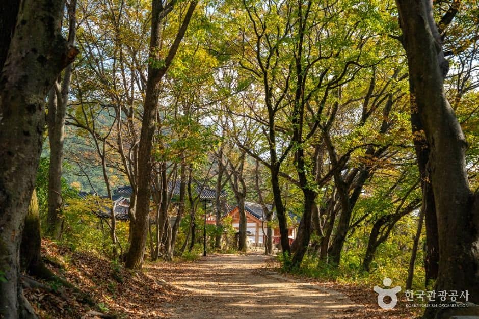포항_보경사 (1)