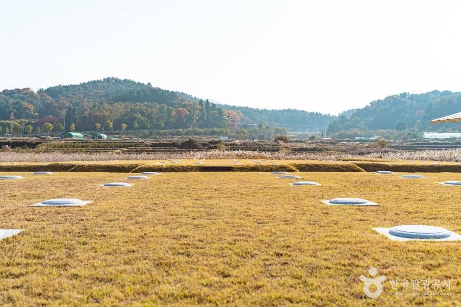 경주_경주 인왕동 사지 (4)