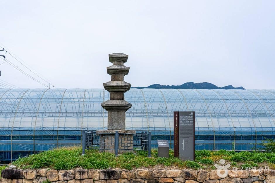 장성_진원리 오층석탑 (2)