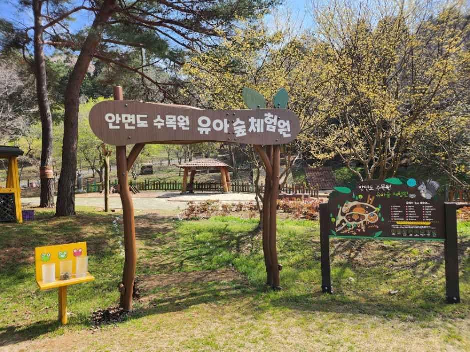 태안_안면도수목원 (10).jpg