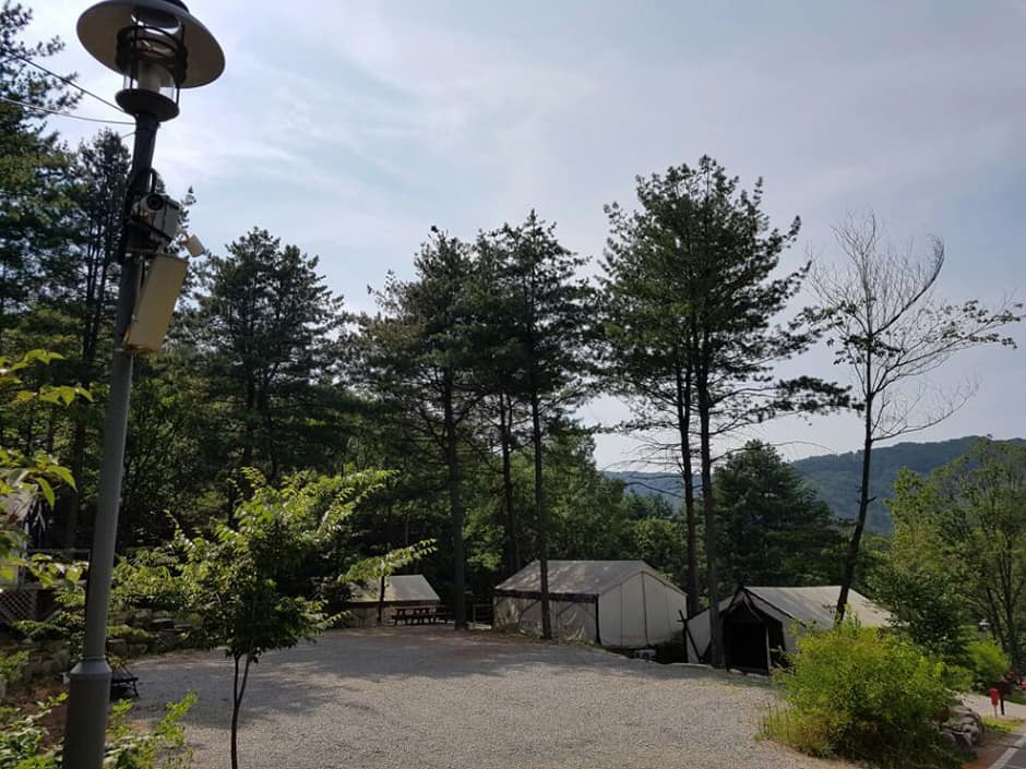 양평다목적캠핑장_전경2