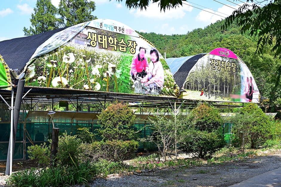 민들레동산캠핑장_생태학습장