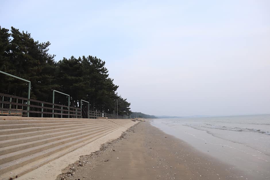 충청남도_태안군_몽산포오토캠핑장 2구역_해변