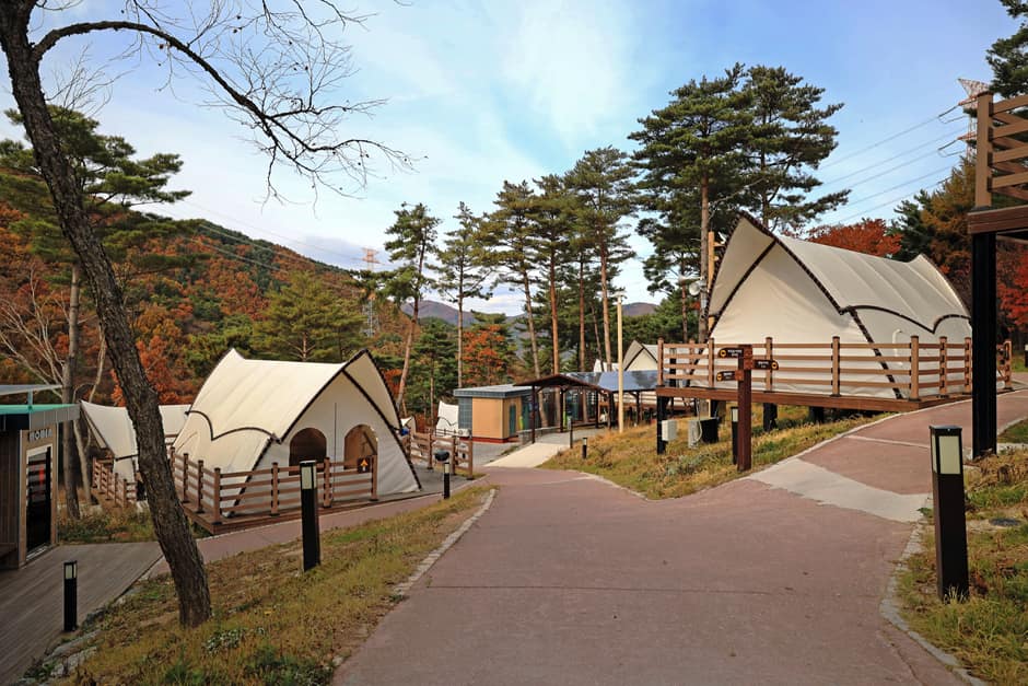 강원도_정선군_숲속야영장_전경 (4)