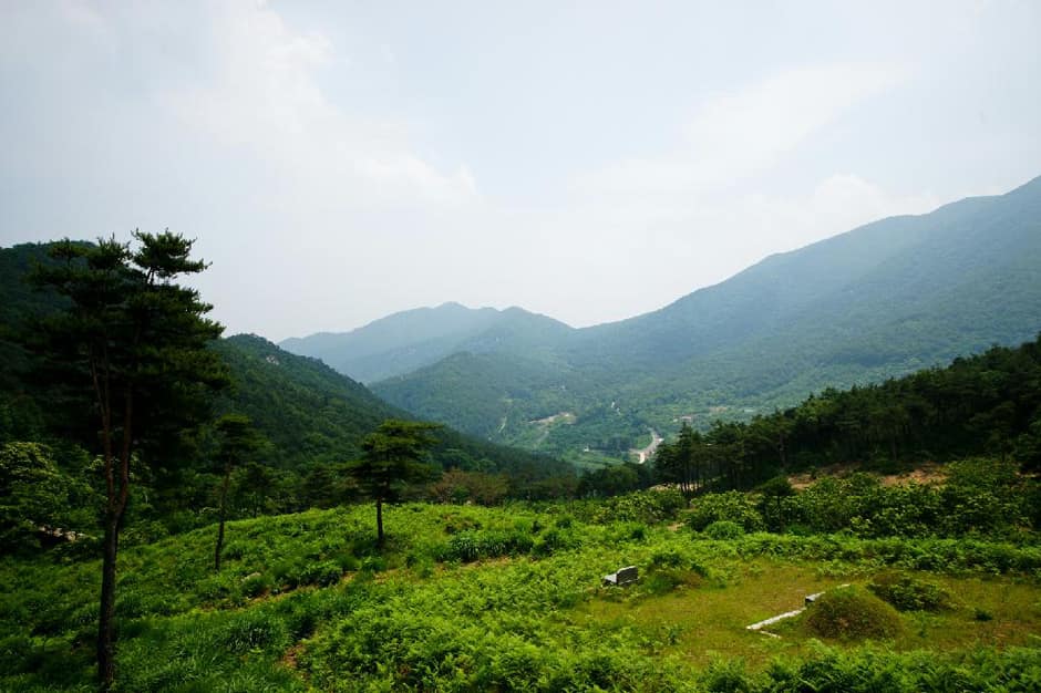 어천마을_전경 (2)