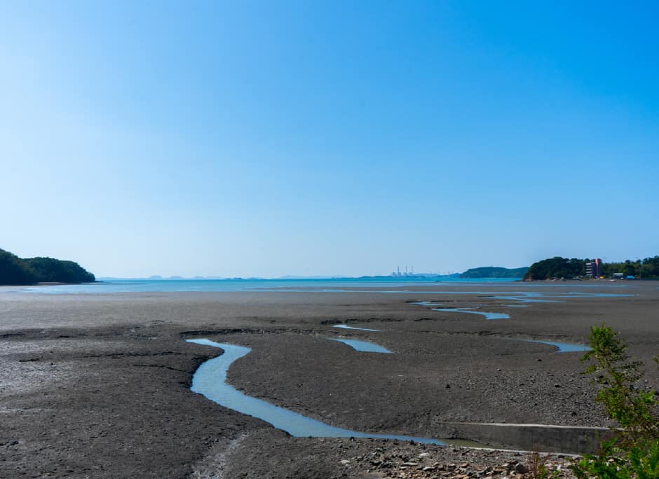 경기_안산시_젤리캠핑_풍경2