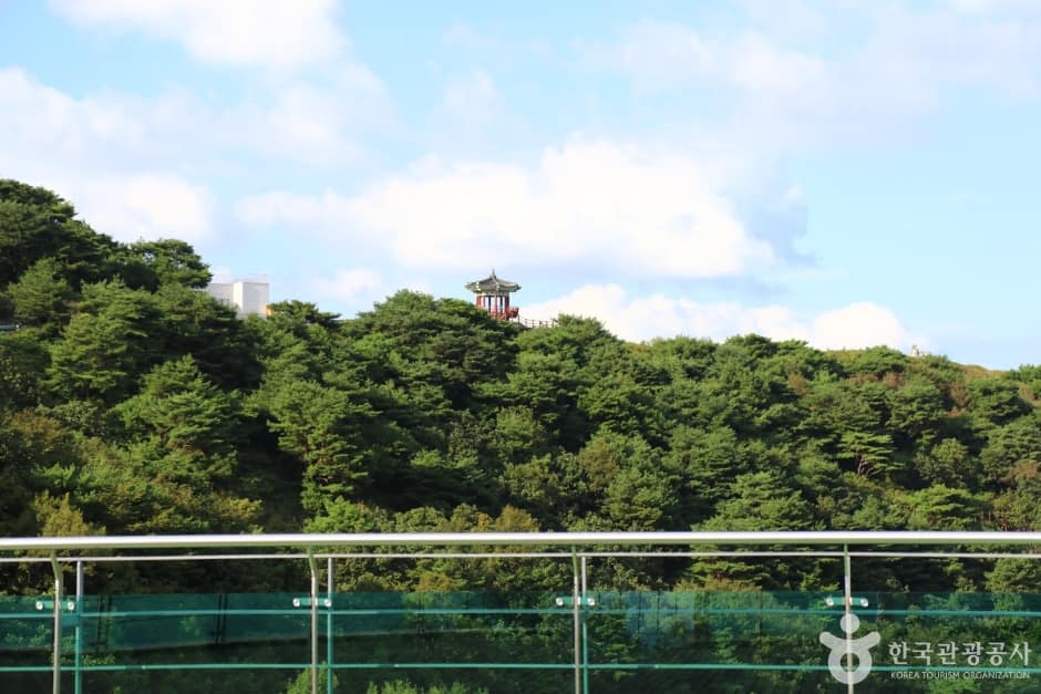 한우산생태숲 (16)