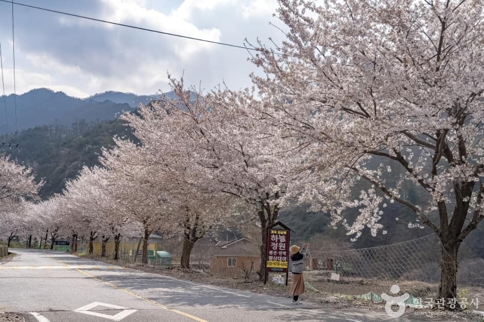 물한계곡 (9)