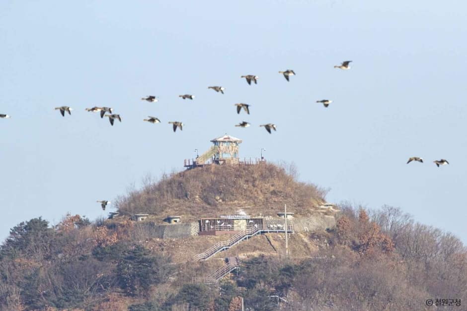 삽슬봉(아이스크림 고지) (2)