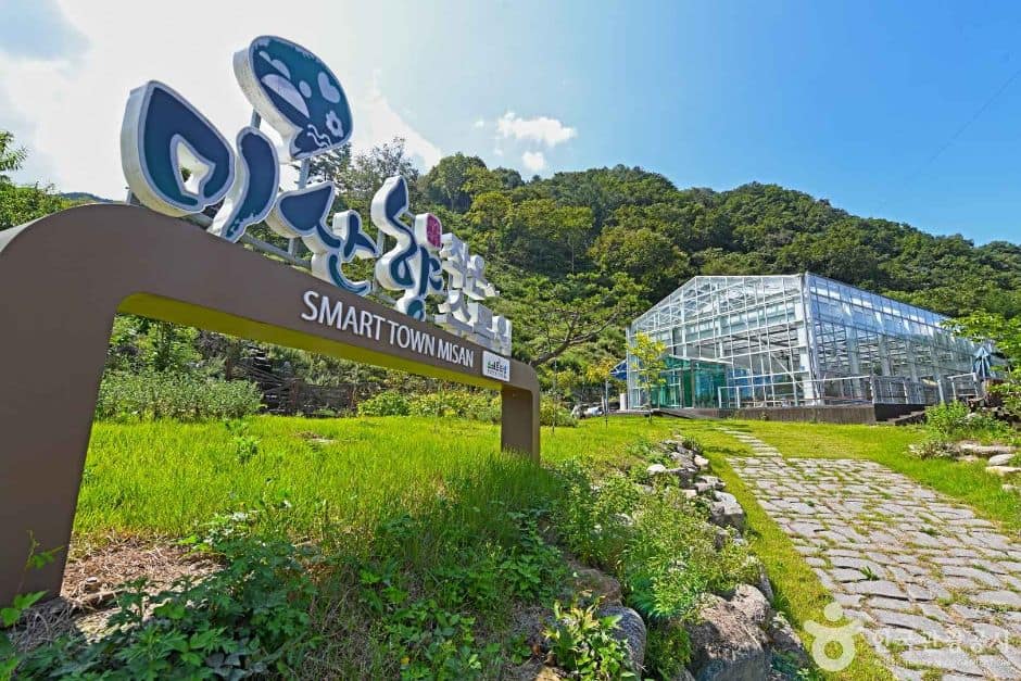 인제_고로쇠마을(미산마을) (3)