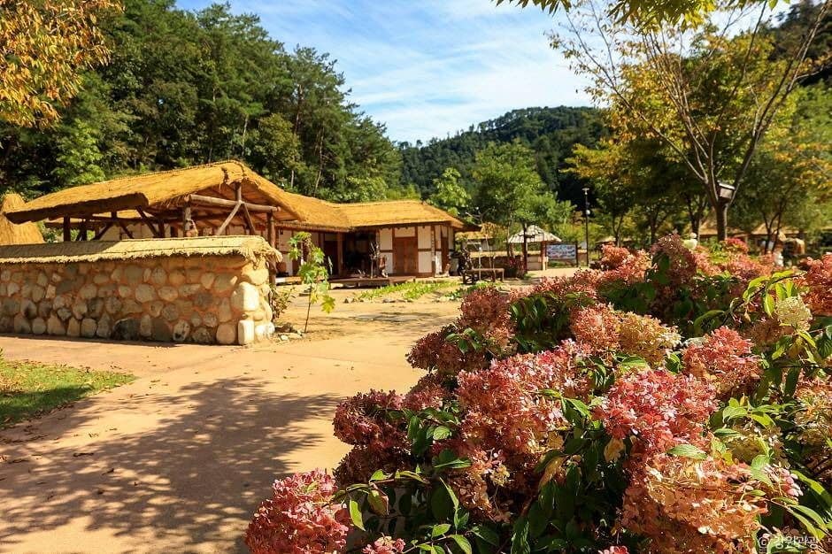 홍천_수타사 농촌테마공원 (5)