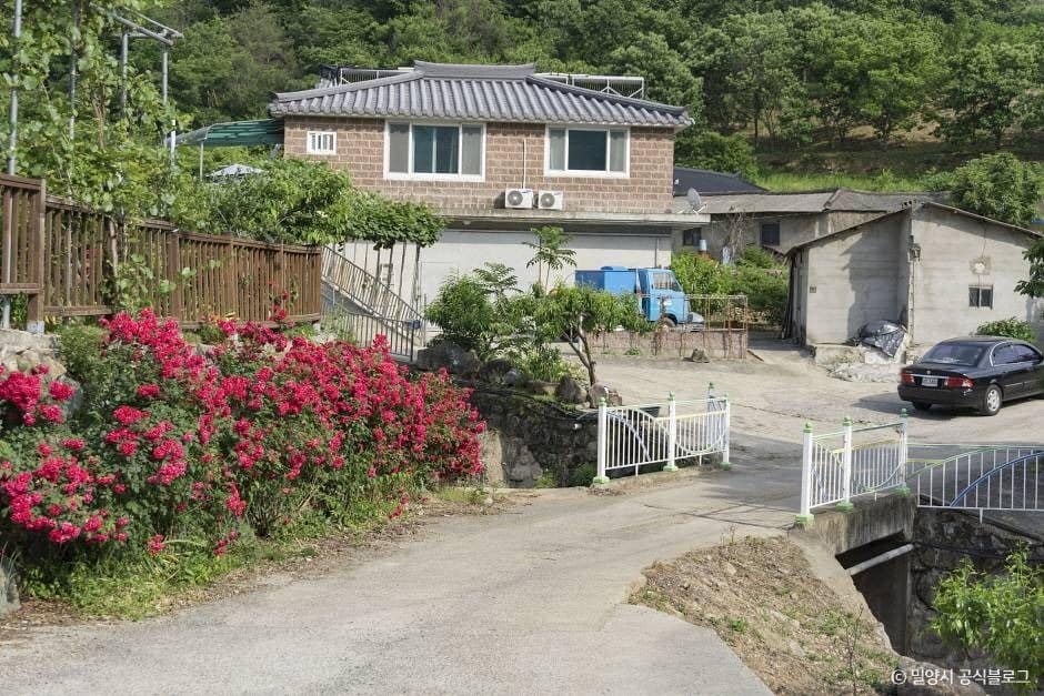 밀양_평리산대추마을 (2)