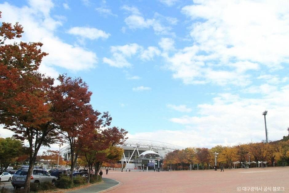 대구_대구스타디움 (4)
