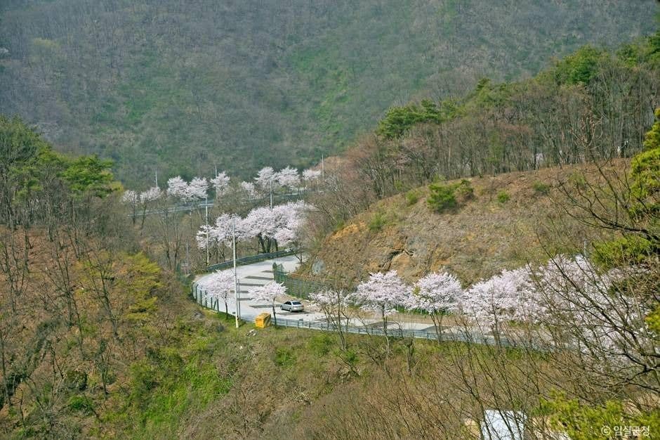임실_국사봉전망대 (3)
