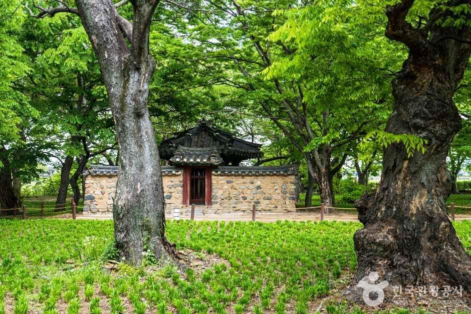 경주 계림 (4)