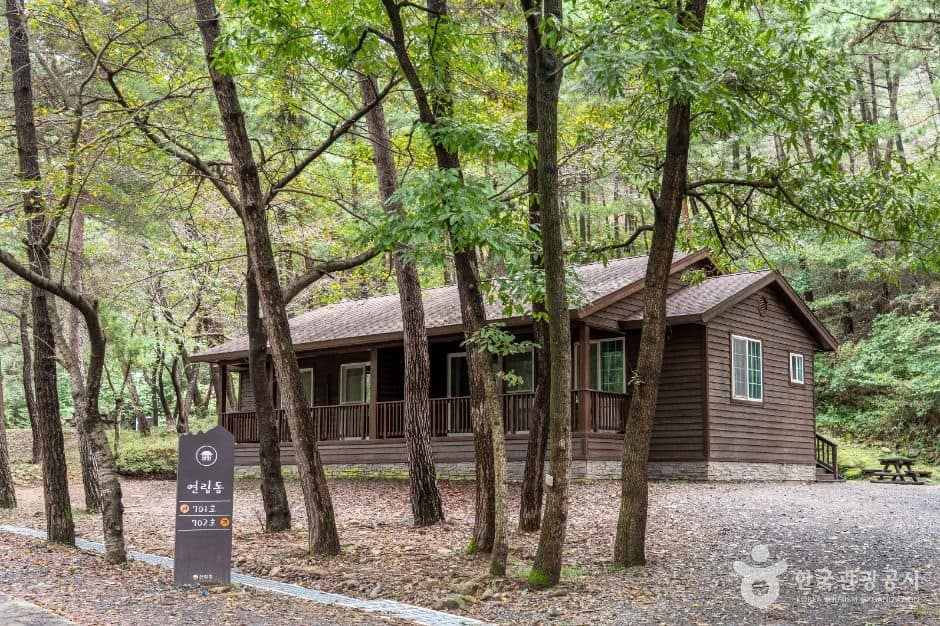 서천_국립 희리산해송자연휴양림 (1)