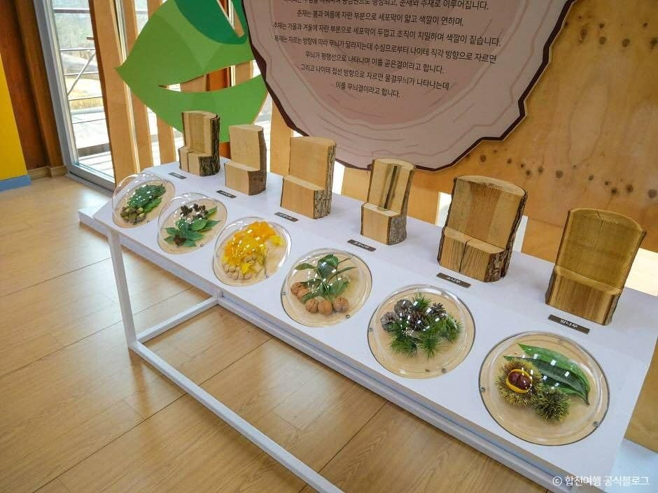 합천_합천목재문화체험장 (7)