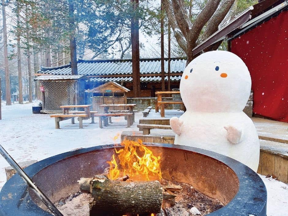 춘천_남이섬 (1)