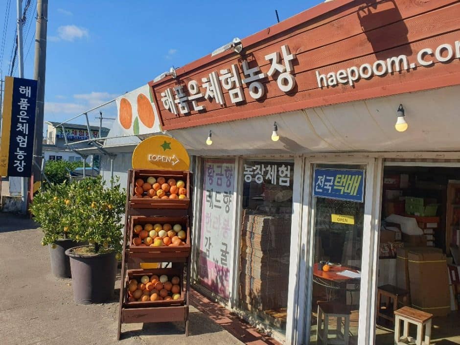 서귀포_해품은체험농장 (1)