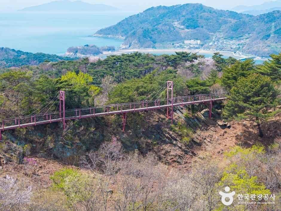 인천_부아산 구름다리 (5).jpg