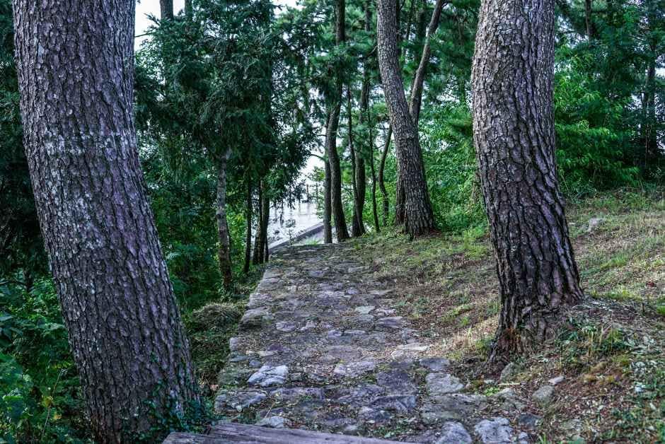 남해_[남해바래길 2코스] 비자림해풍길 (1).JPG