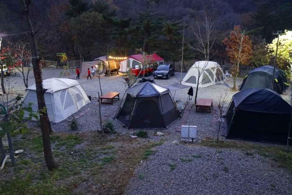 양양_오색산새소리캠핑장 (1).jpg