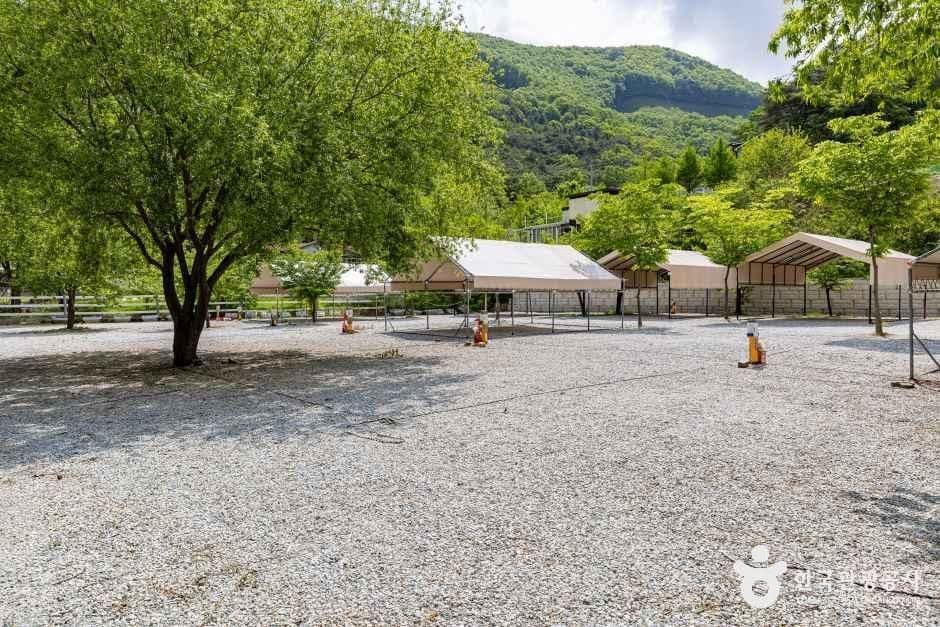 제천_가마실캠핑장 (6).jpg