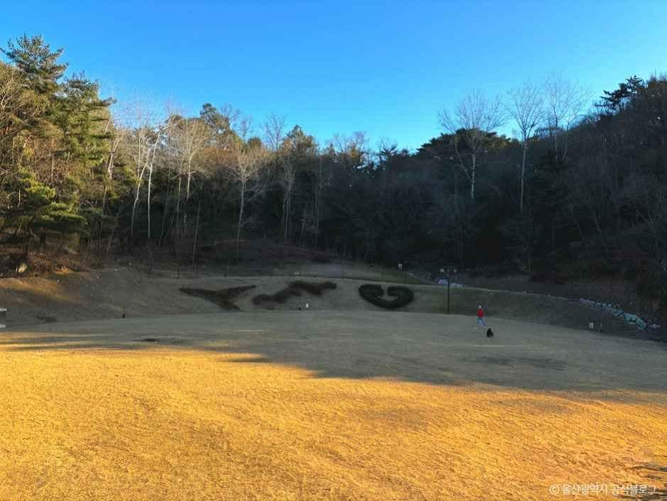 울산_입화산참살이숲제2오토캠핑장 (5).jpg