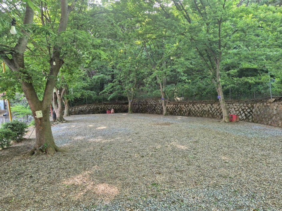 파주_학교안풍경캠핑장 (4).jpg