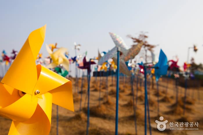 파주 DMZ 곤돌라