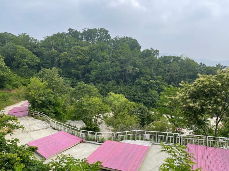 추가_박_인천_강화_강화버팔로캠팜_풍경2