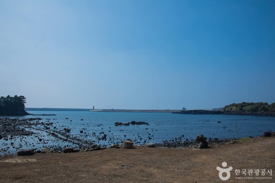 서건도(5)
