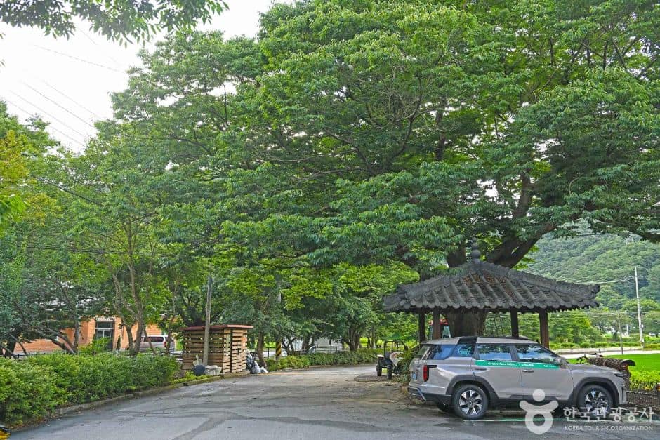 담양_담양 도래수마을 (2)