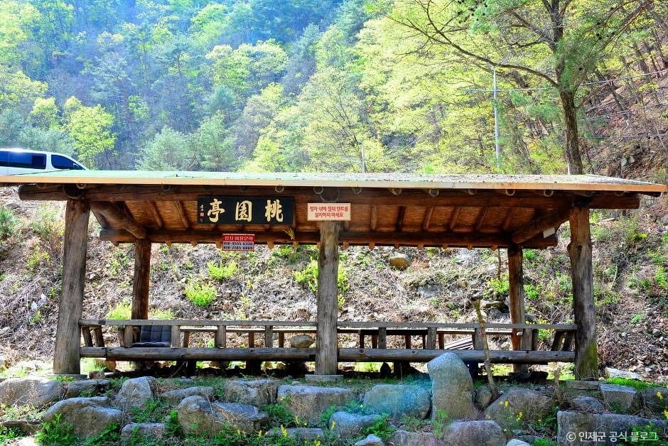 인제 동아실계곡 (2)
