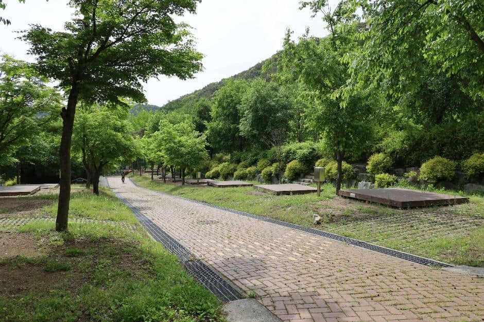 대구_팔공산국립공원 도학야영장 (2)