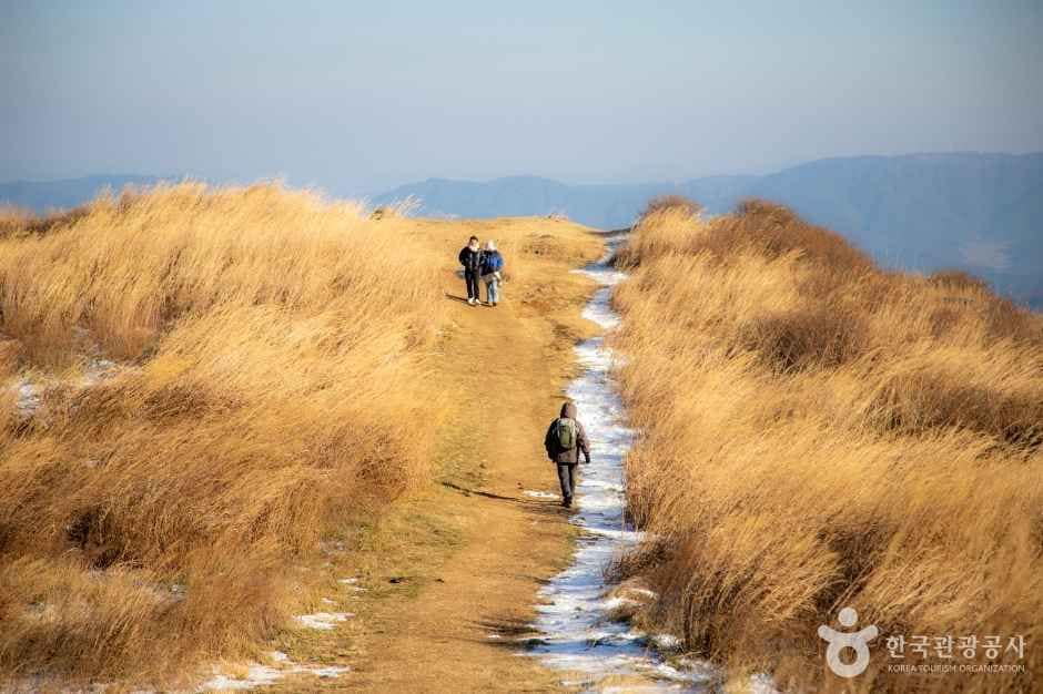 황매산