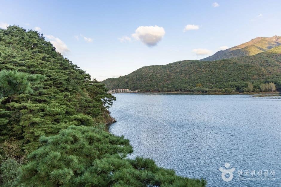 괴산_괴산호 (1)