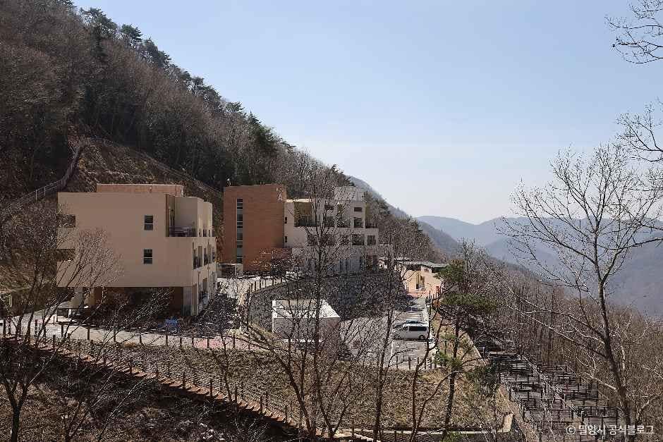 밀양_밀양 도래재 자연휴양림 (6).jpg