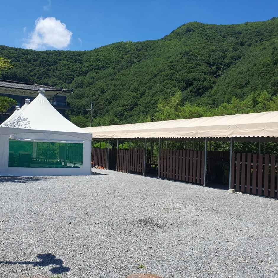 태백_태백눈꽃야영장 (8).jpg