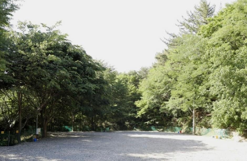 영덕칠보산오토캠핑장 (1)