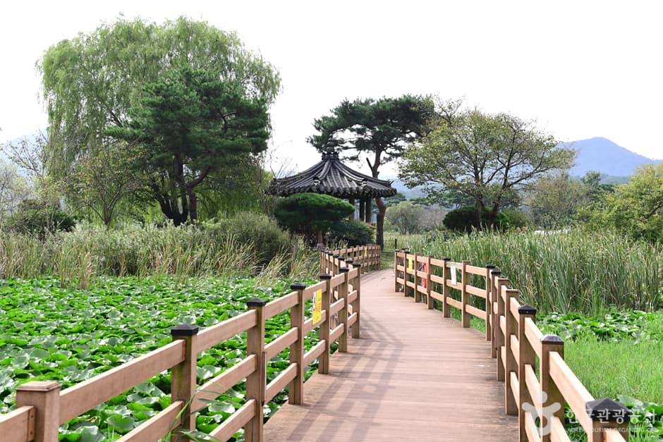 전남_영광_영광불갑테마공원 (13)