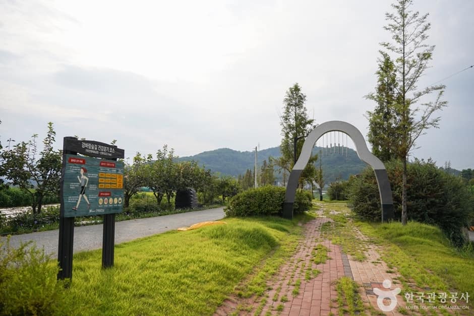 구포생활체육공원 (17)
