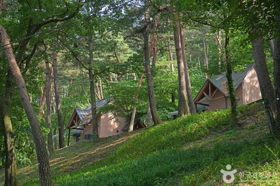 만수산자연휴양림 (1)