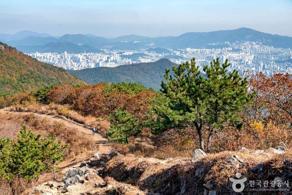백양산 (2019)