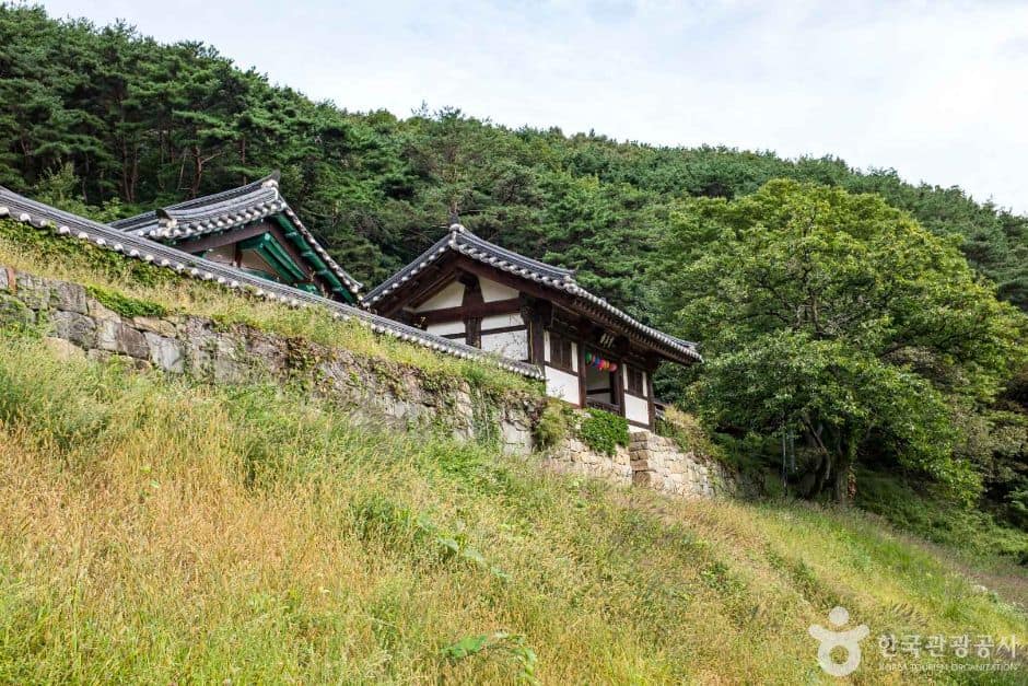 영천_부귀사(영천) (8)
