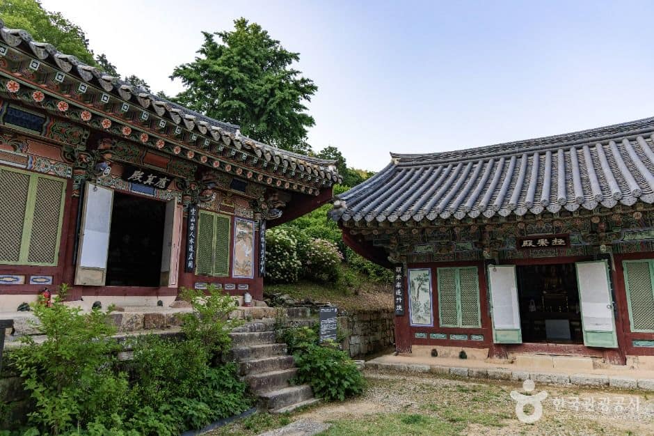 사천_다솔사(경남) (2)